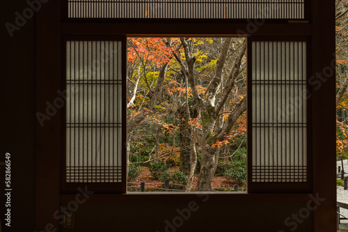 日本 京都府京都市にある圓光寺の瑞雲閣の窓から見える十牛之庭の紅葉
