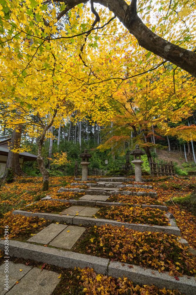 Fototapeta premium 日本 京都府京都市の圓光寺にある東照宮の紅葉と徳川家康の墓