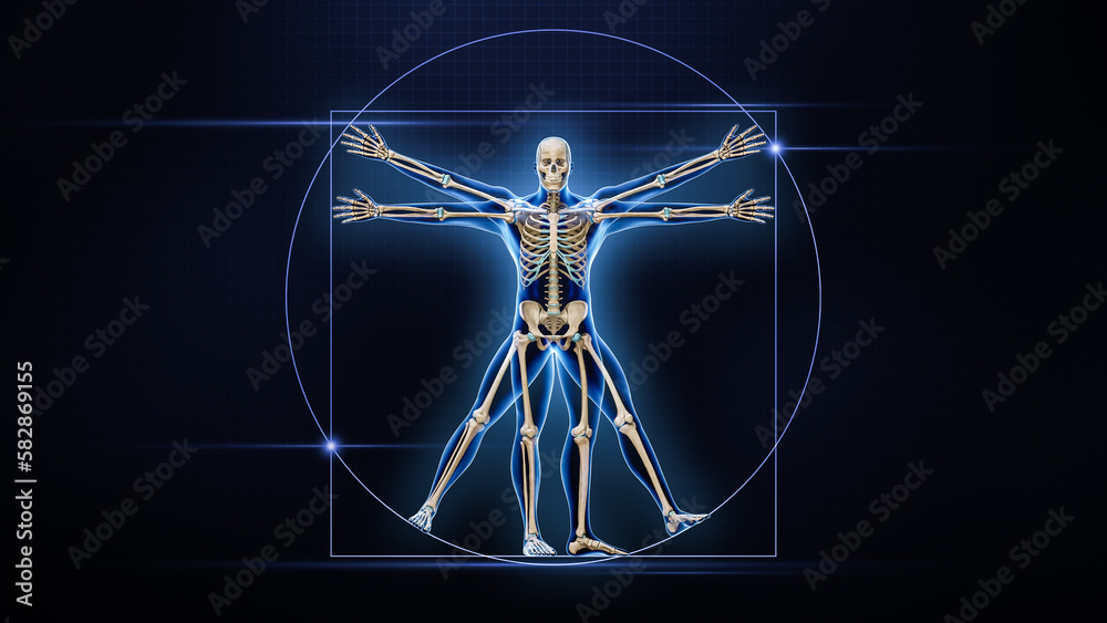 Human male body and bones xray 3D rendering illustration with copy ...
