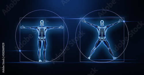 Two anterior or front views of the human male body and skeleton xray 3D rendering illustration on blue background. Anatomy, medical, skeletal or bone system, science, biology, osteology concepts. photo