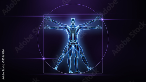 Anterior or front view of the human male body and bones xray 3D rendering illustration. Skeleton or skeletal system anatomy, medical, science, biology, medicine, osteology, biomechanics concepts. photo