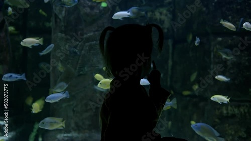 Portrait of a toddler near the aquarium. A little girl strokes the glass behind which colorful fish swim