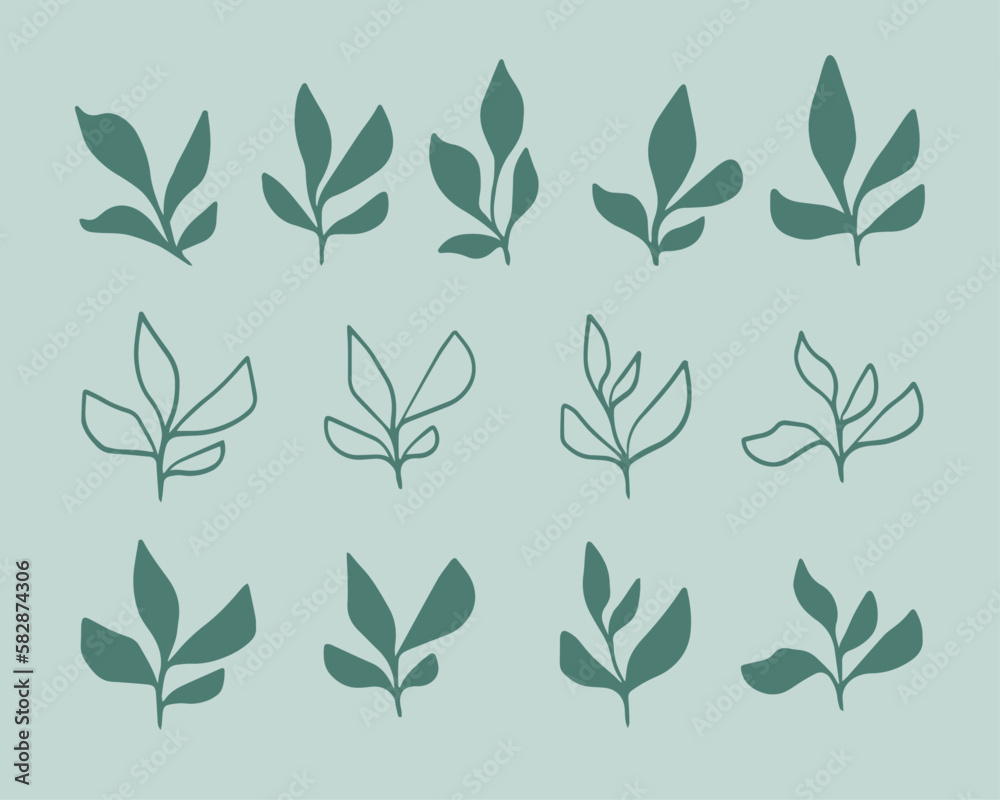Set of leaves. Hand drawn decorative elements. Organic botanical leaves, plants, floral illustration vectors Set of leaves. Hand drawn decorative elements. Organic botanical leaves, plants, floral illustration vectors