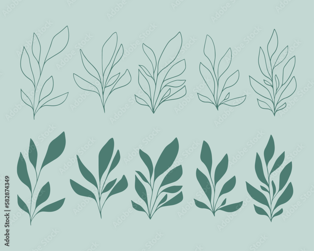 Set of leaves. Hand drawn decorative elements. Organic botanical leaves, plants, floral illustration vectors