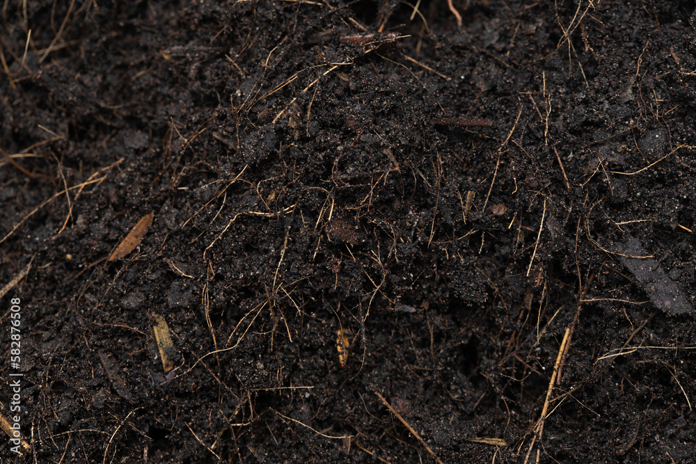 Black Fertilize Soil ready to planting, good organic soils with root for garden farming, pile set texture detail of soil with roots dust dirty. close up selective focus over White background Isolated Black Fertilize Soil ready to planting, good organic soils with root for garden farming, pile set texture detail of soil with roots dust dirty. close up selective focus over White background Isolated