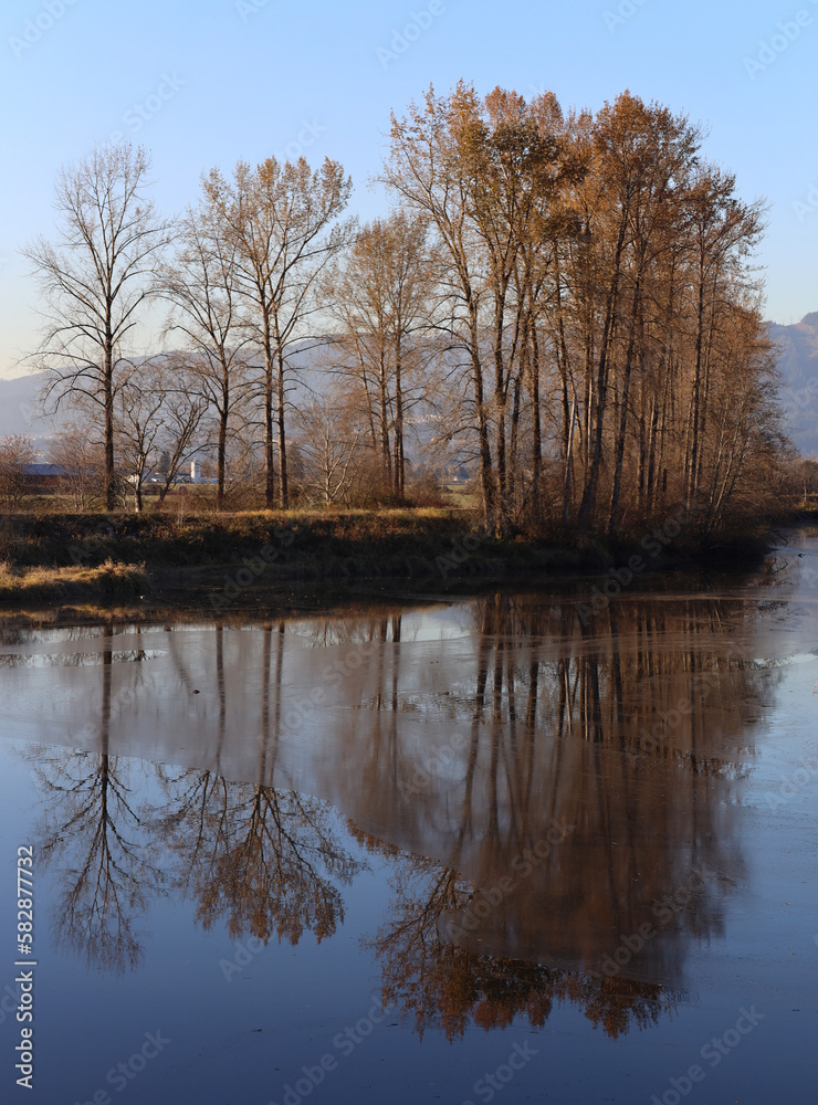 Late autumn tranquil reflection of leafless trees