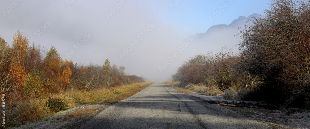 Foggy road leading to the frosty wilderness