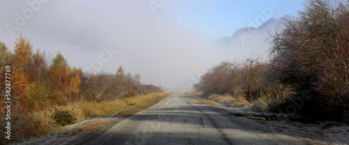 Foggy road leading to the frosty wilderness