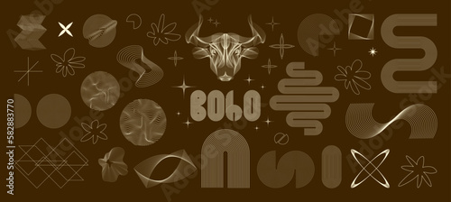 Geometric contours and shapes in boho style. Universal geometric shapes set. Abstract linear boho elements. Digital y2k graphic box, linear shapes and objects. Vector graphic assets collection.