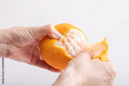 Foto みかんを剥く手元　Citrus