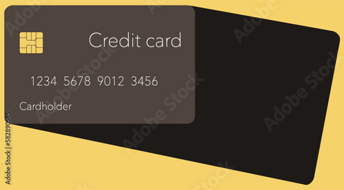 Here is a realistic mock credit card or debit card in a vector format.
