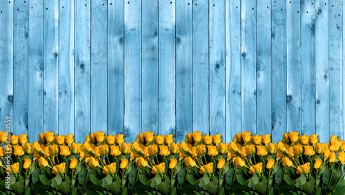 Fototapeta Naklejka Na Ścianę i Meble -  bouquets of yellow roses on wooden background blue color wallpaper and backgrounds