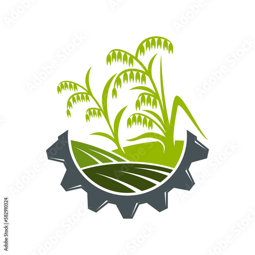 Agriculture icon. Field of rice and wheel. Farming business, agriculture company or natural food production vector icon, agronomy technology emblem or symbol with rice plant in field, cog wheel