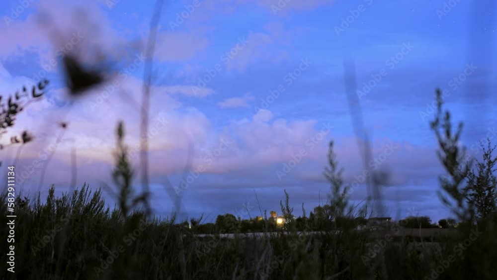 Boomerang Timelapse from evening to night, stars appear in the sky. Plants in the foreground with camera moving up. House in the background with bright light.
Clouds are passing by. Mystical ambience. Boomerang Timelapse from evening to night, stars appear in the sky. Plants in the foreground with camera moving up. House in the background with bright light.
Clouds are passing by. Mystical ambience.