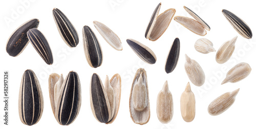 a set of sunflower seeds isolated on white background. photo