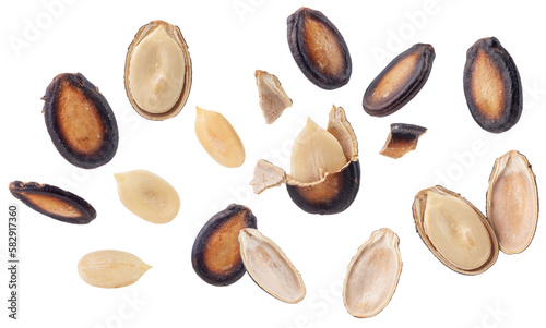 a set of black watermelon seeds isolated on white background.