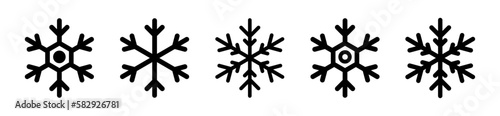 Snow flakes vector icons set