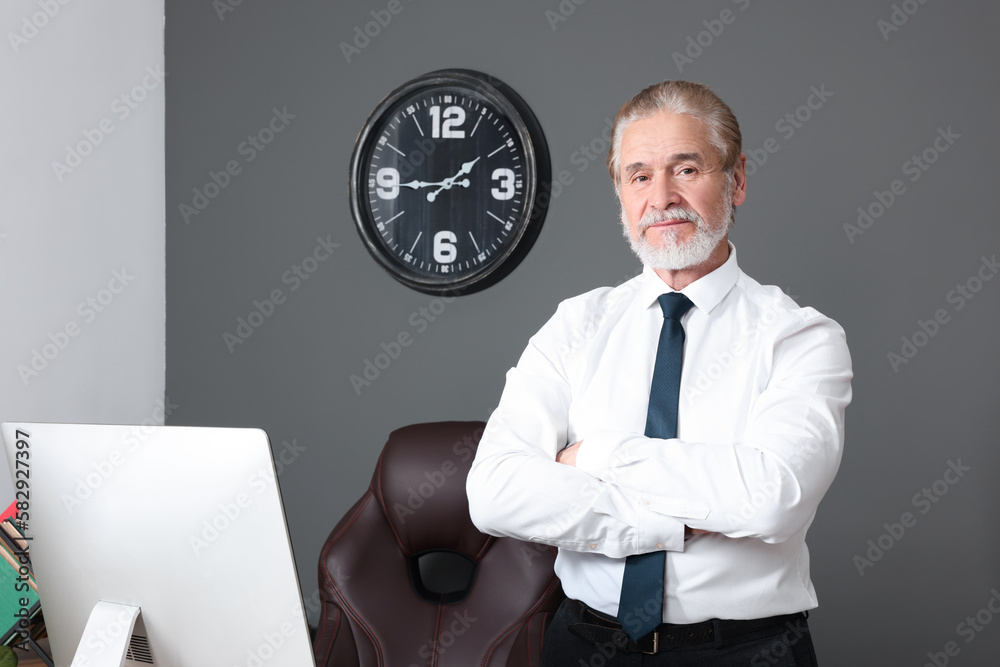 Serious senior successful boss in his office Serious senior successful boss in his office