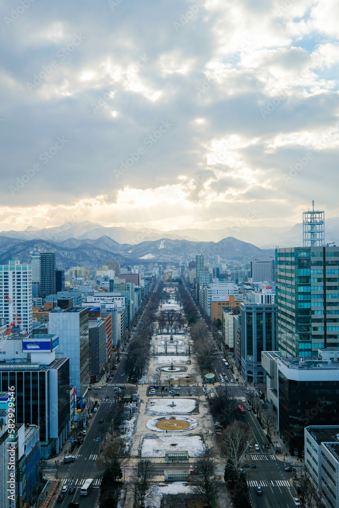 Fototapeta premium 北海道札幌市テレビ塔の展望台からの景色
