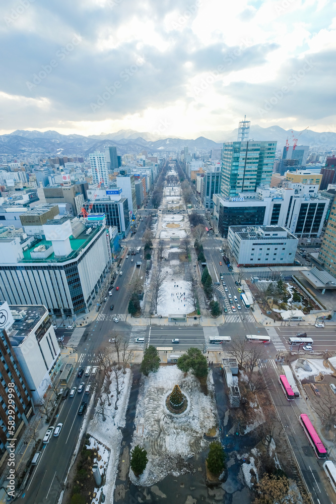 Fototapeta premium 北海道札幌市テレビ塔の展望台からの景色