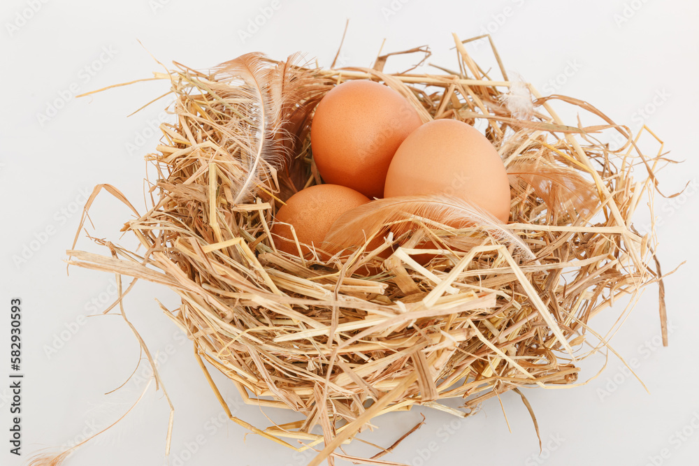 Organic chicken fresh eggs in the straw nest. On white background. Organic chicken fresh eggs in the straw nest. On white background.