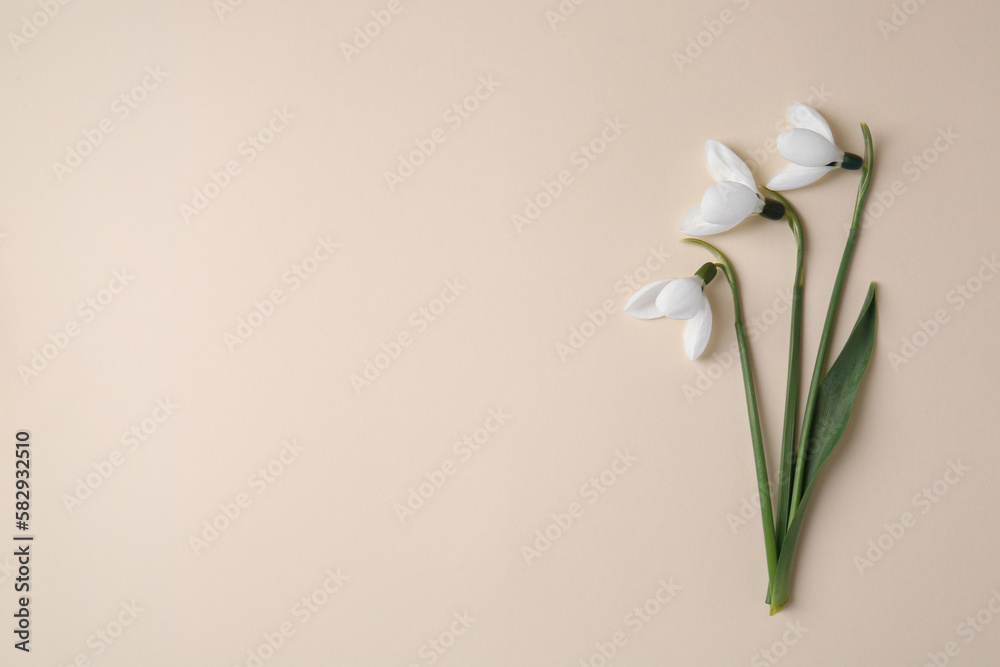 Beautiful snowdrops on beige background, flat lay. Space for text