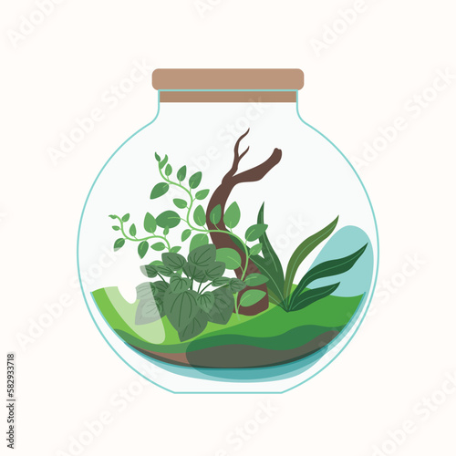 Live plants are planted in a glass container. The illustration depicts a terrarium for plants. Vector image.