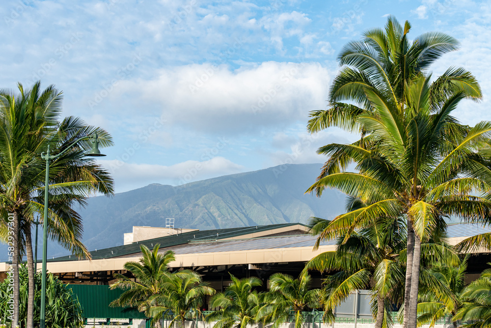 Fototapeta premium View of the tallest mountain in Maui, Hawaii - Haleakala Volcano (Mountain)
