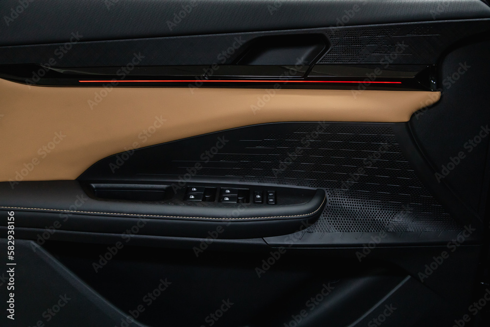Side door buttons: window, mirror adjustment buttons, door lock. Car inside. Side door buttons: window, mirror adjustment buttons, door lock. Car inside.