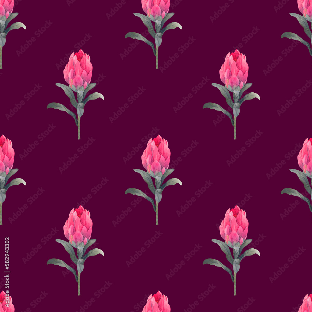 Watercolor seamless pattern with magenta protea, floral background blooming flowers and protea leaves. Print for fabric, textile, roll wallpaper, design, backgrounds, textures, digital paper