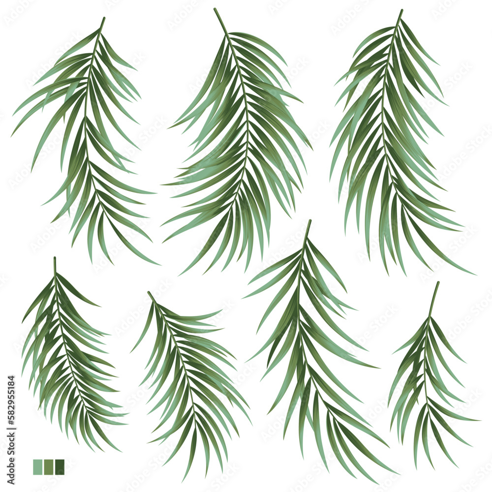 Collection of beautiful fern leaves vector material,