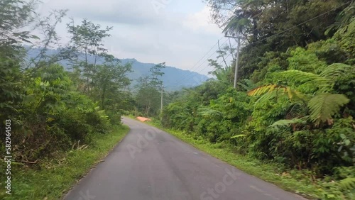 the atmosphere of the journey around the forest to the city of Takengon photo