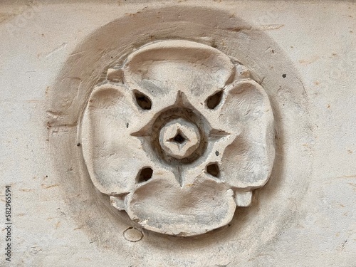 Poppy plaster molding detail on the wall