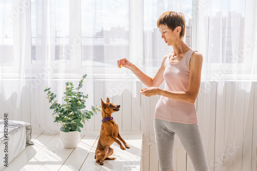 Woman practicing exercising with dog to enjoying and relaxing with yoga. Spend time and play with your dog at home. Rest love for dog concept