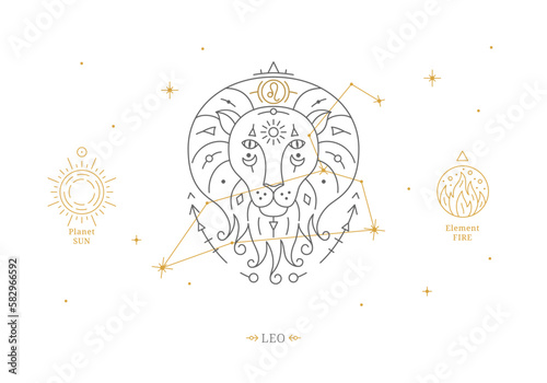 Leo zodiac sign with description of personal features. Astrology horoscope card with zodiac constellation on white background thin line vector illustration