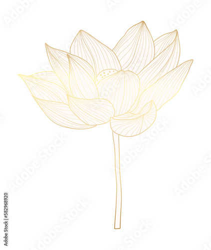Tropical lotus flower gold line art