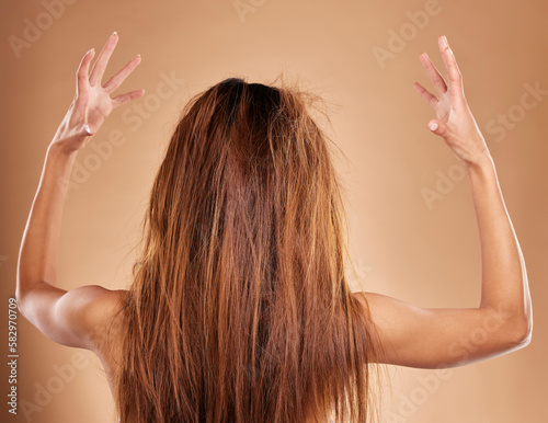 Messy, tangled and back of a woman in a studio with knot, brittle and damaged hairstyle. Dry, frizzy and female model with long and big hair for salon restore treatment isolated by brown background.