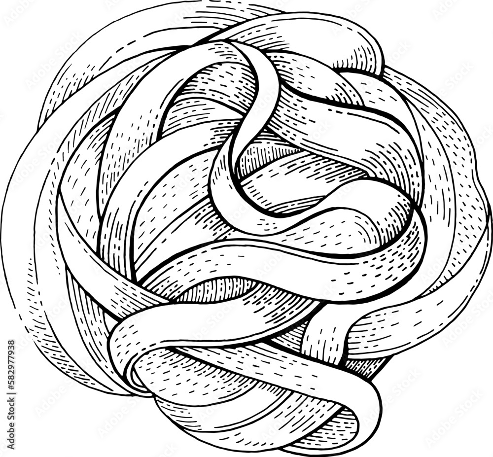Pasta fettuccine. Etching noodle fettuccini vector. Italian alfredo pasta drawing. Engraving