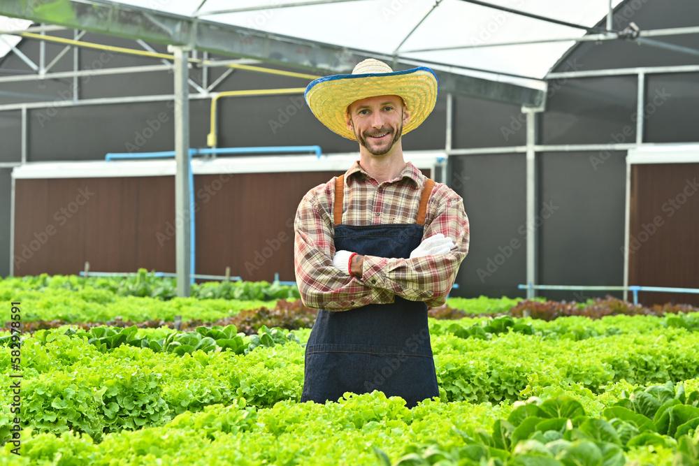 Obraz premium Portrait of smiling male farmer standing with arms crossed in hydroponics greenhouse plantation
