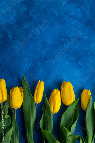 Beautiful bouquet of yellow tulips on a blue concrete background. Top view  copy space.
