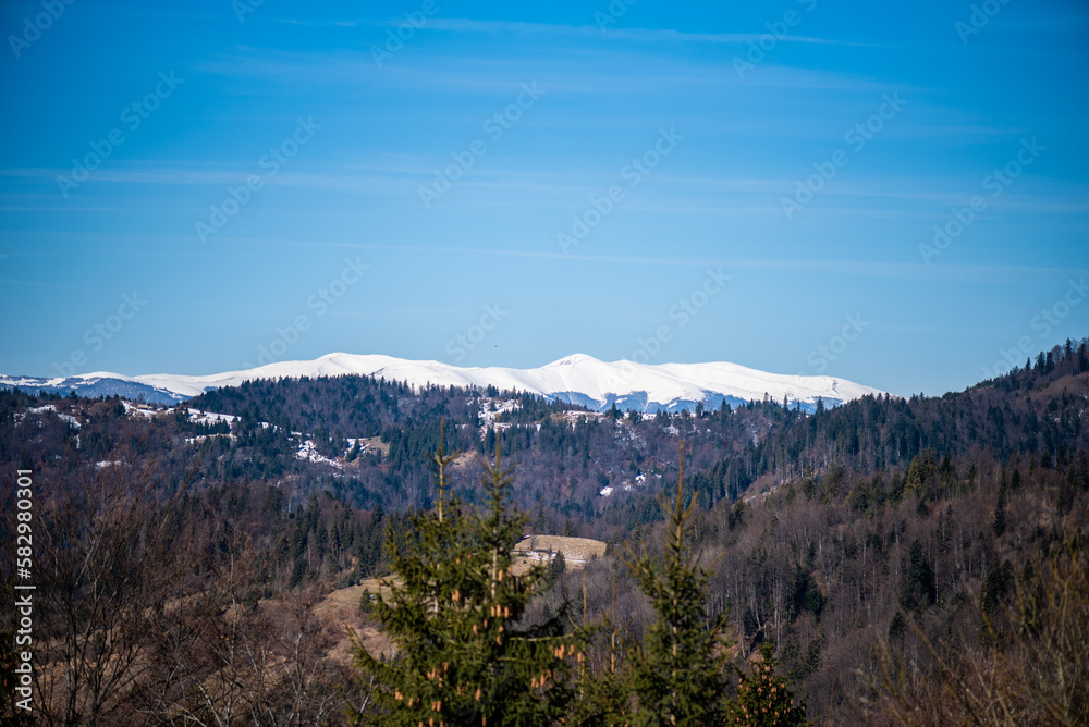 Early spring in mountains. Snowy peak and coniferous forest Early spring in mountains. Snowy peak and coniferous forest