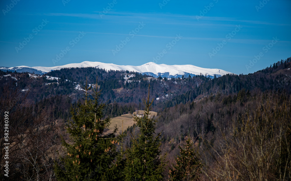 Early spring in mountains. Snowy peak and coniferous forest