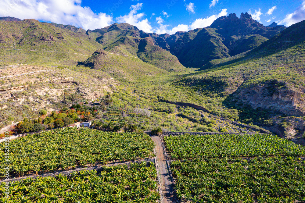 Aerial view above banana plantation in the Canary Islands Spain - Tenerife