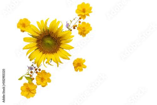 yellow flowers sunflowers, cosmos arrangement flat lay postcard style