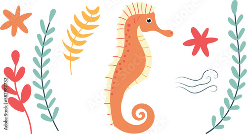 seahorse in flat style vector