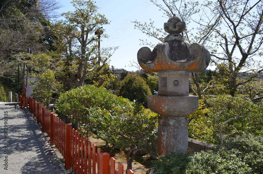 Fototapeta premium 鶴岡八幡宮参道からの景色