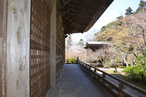 妙本寺境内の景色