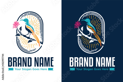 simple modern line sunbird Tropical asian bird illustration logo design