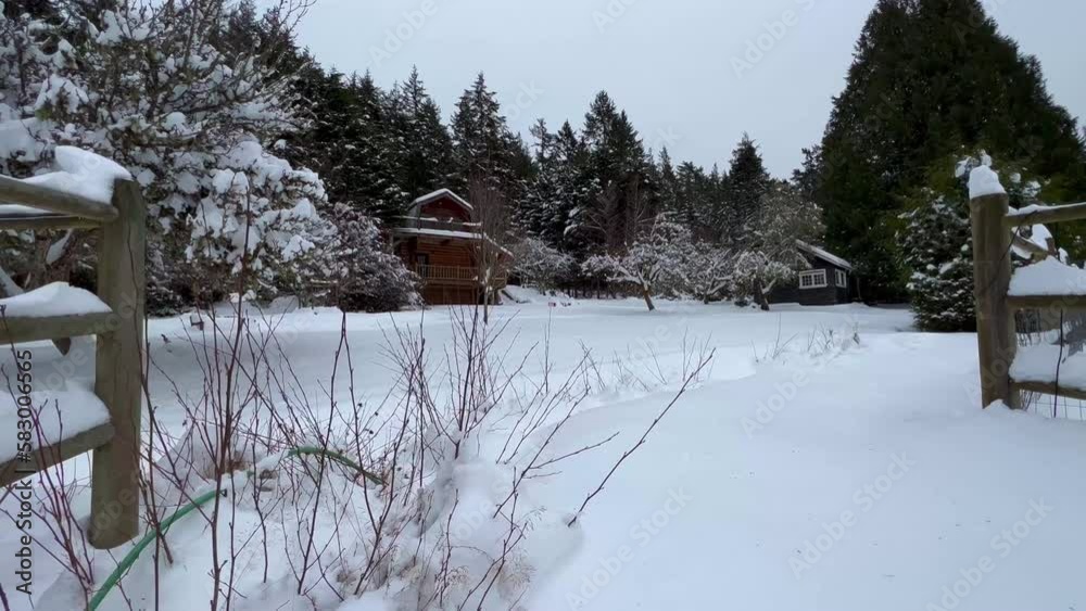 custom made wallpaper toronto digitalWooden Farmhouse Nestled in Trees After Winter Wonderland Snowfall.