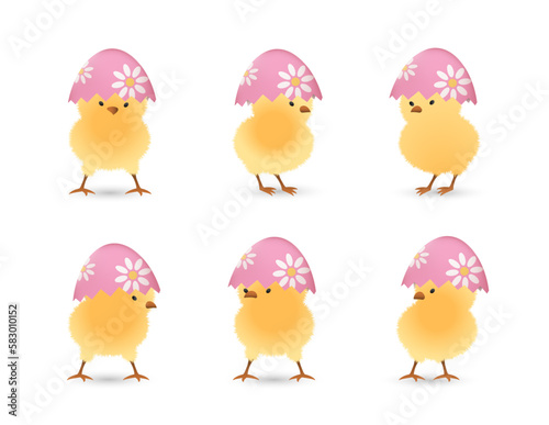 Chicks in upper part of broken Easter eggs with flowers set